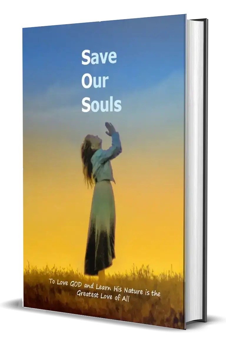 Save Our Souls Book